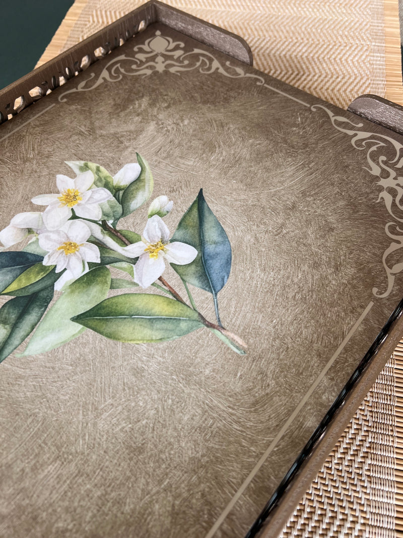 Dining Table Placemats - Pure White