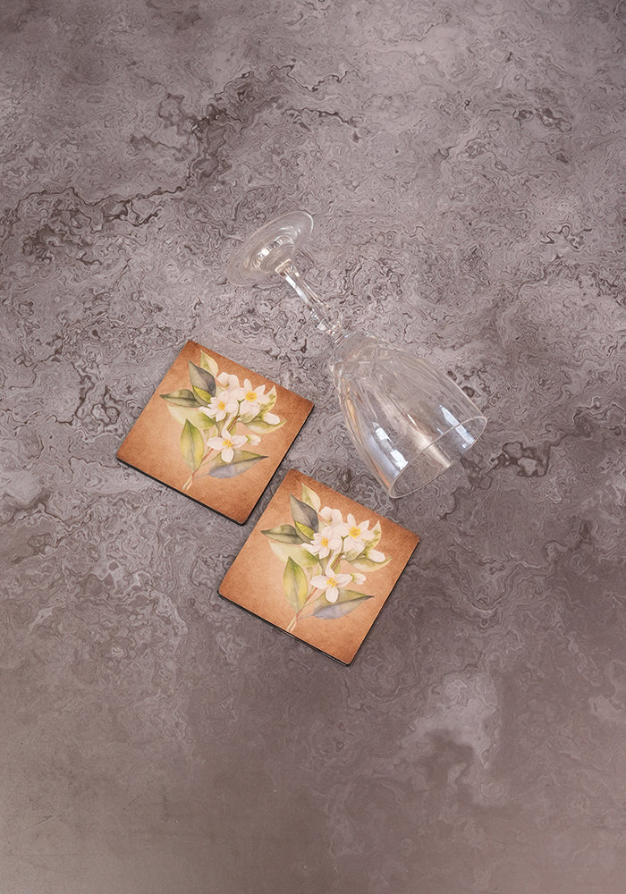 Coasters - Pure White